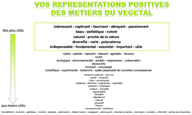 Synthèse des retours de 65 étudiants en L1 SVT de l’UCO- Angers interrogés à la rentrée 2020.